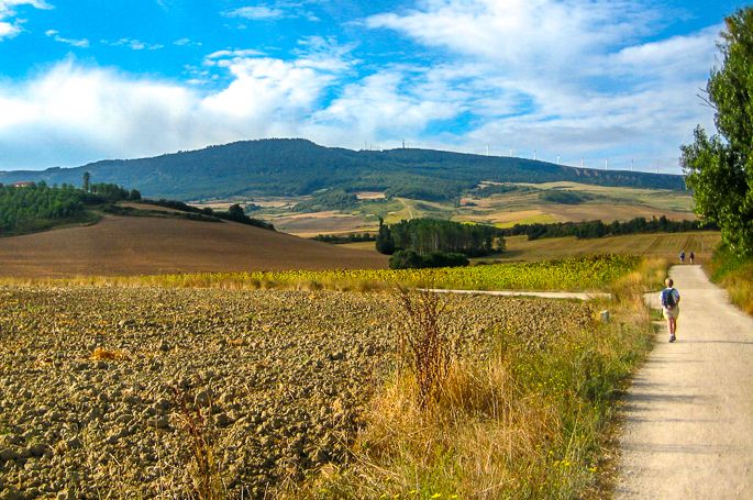 Open countryside on the Camino Frances