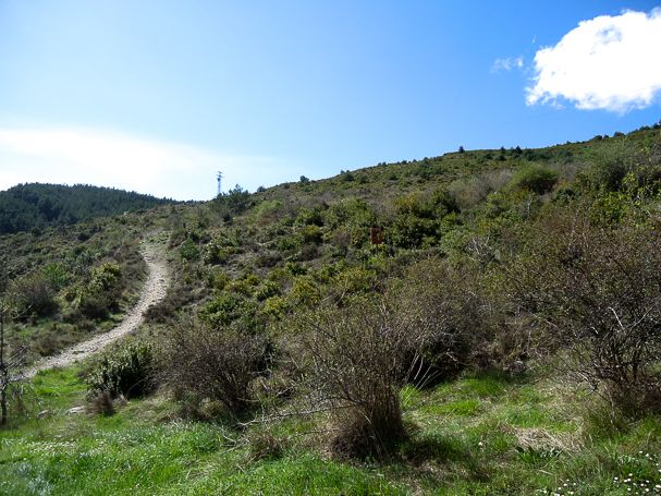 Dirt track on the way to Pamplona