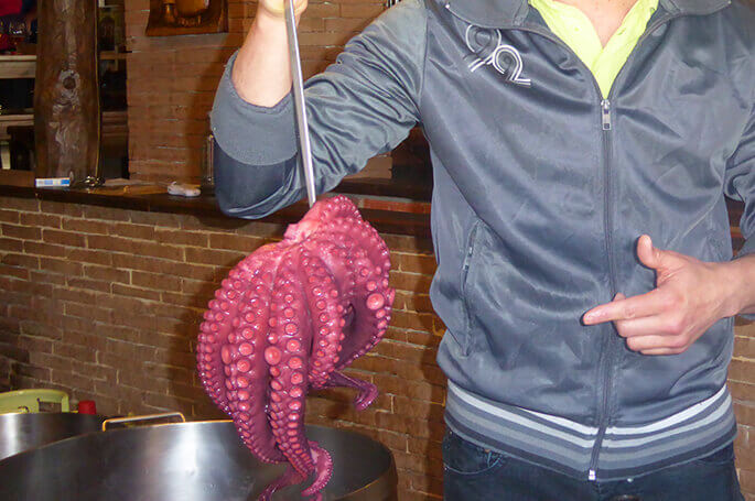 Octopus 