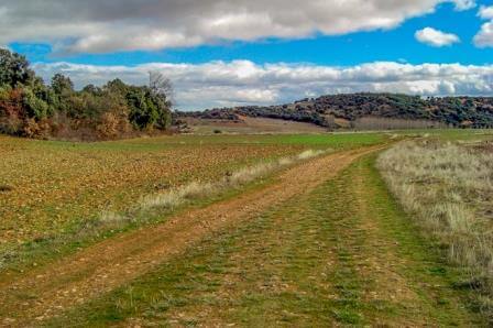 camino way walking tours